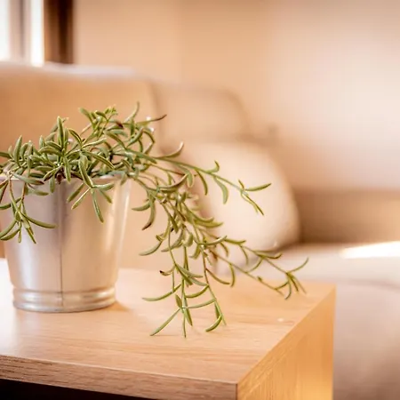 O Lar Do Caminante * Palas de Rei